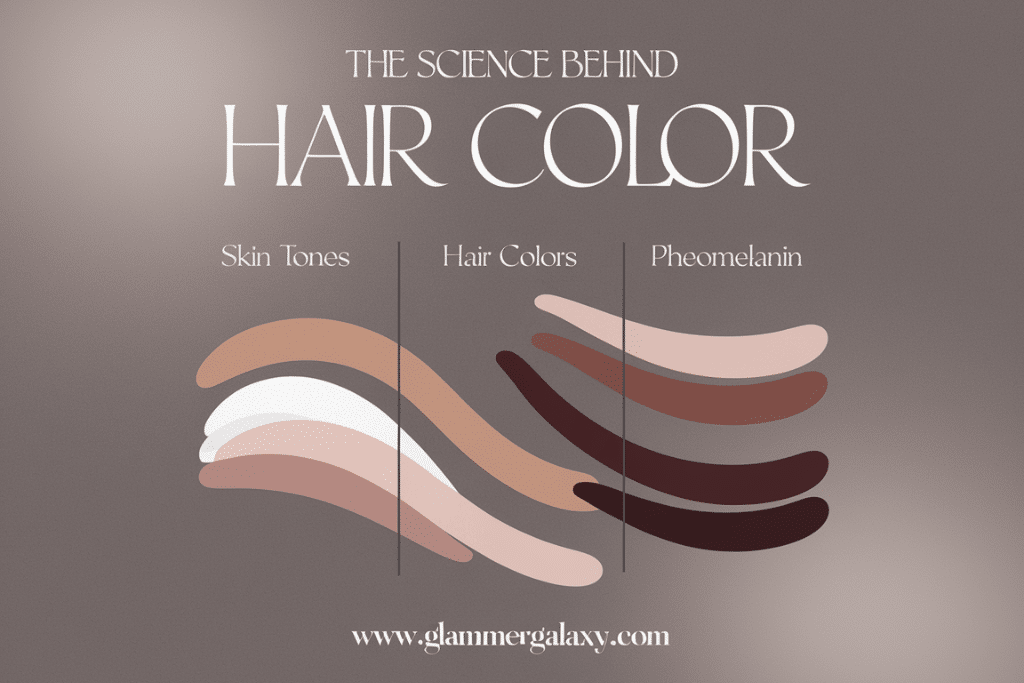 Hair Color Chemistry